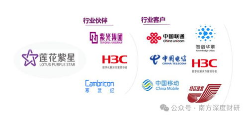 从调味品到AI新势力 莲花控股业绩领跑同行，科技版图再落信息技术咨询服务关键一子