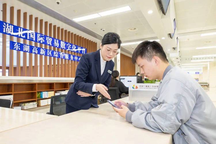 光谷新设"涉外服务咨询窗口",提供出入境签证等咨询服务